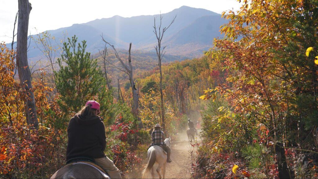 \ud83d\udc34 Horseback Trail Ride in the Smokies Getaway Package! \ud83c\udf04 $149 Per Couple