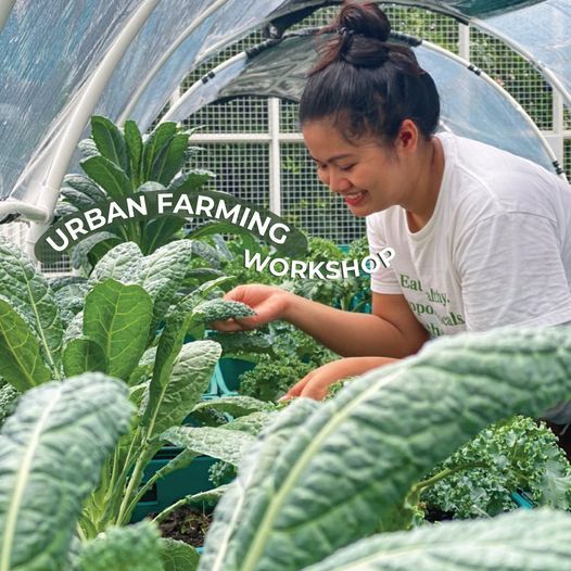 Urban Farming Workshop in Ari