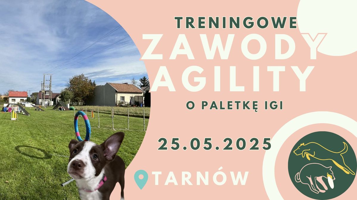 Treningowe Zawody Agility o Paletk\u0119 Igi 25.05.2025 Tarn\u00f3w