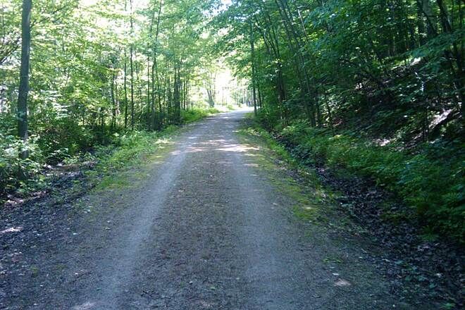 Rolly on the Polly Ann Trail