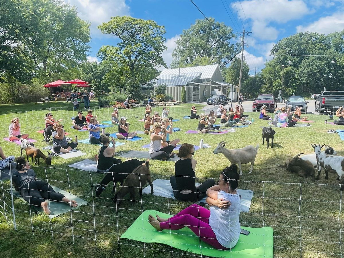 Goat Yoga at Pierpont General Store-  Columbia, MO