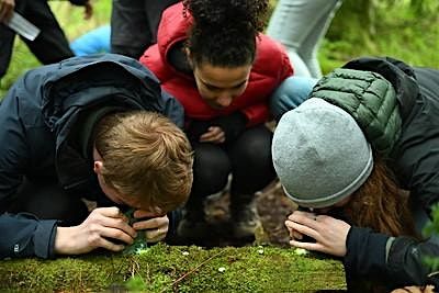 Biodiversity Summer Day Camp 1