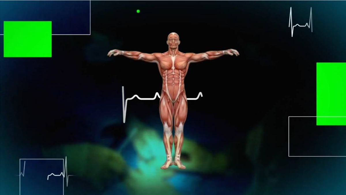 IV feria exposici\u00f3n de investigaci\u00f3n cient\u00edfica e innovaci\u00f3n y desarrollo ciencia de la salud