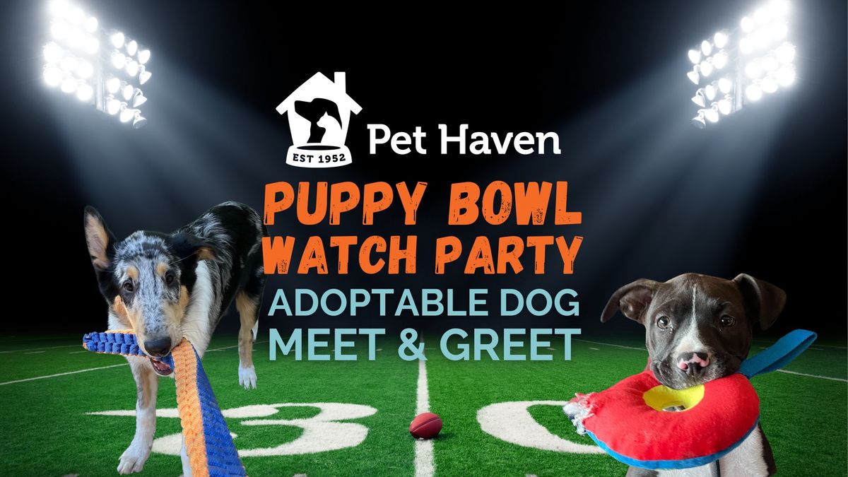 Puppy Bowl Watch Party!