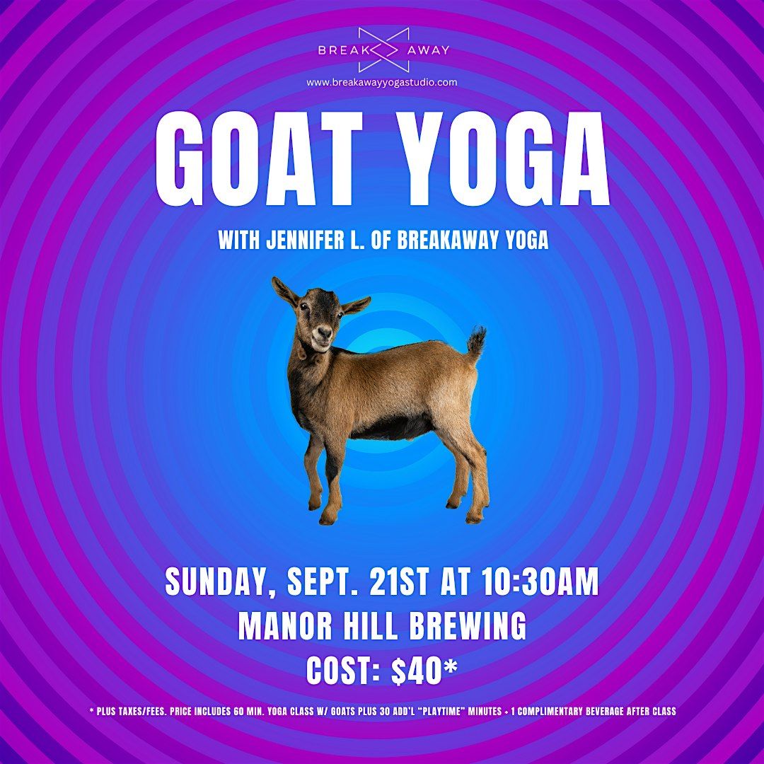 Goat Yoga at Manor Hill Brewing