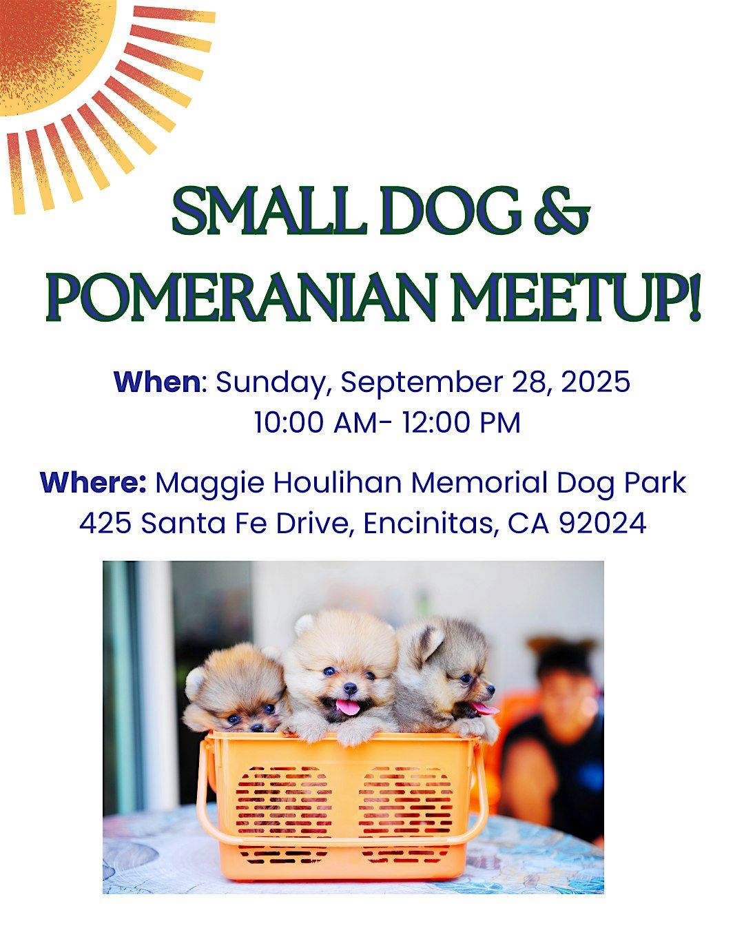 Small Dog and Pomeranian Meetup!
