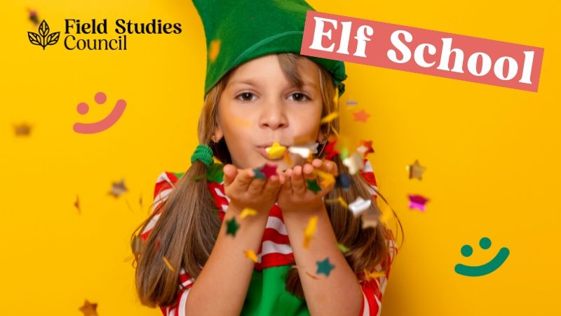 Family Holiday - Elf School