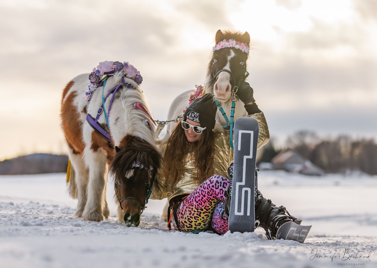 Minis 2.0: The Modern Approach to Miniature Horses  at Equine Affair