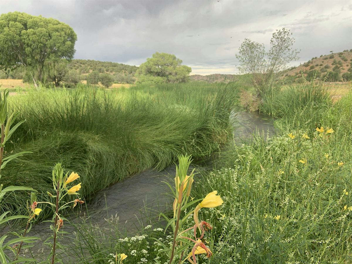 Mindful Meandering Along the Upper Verde River