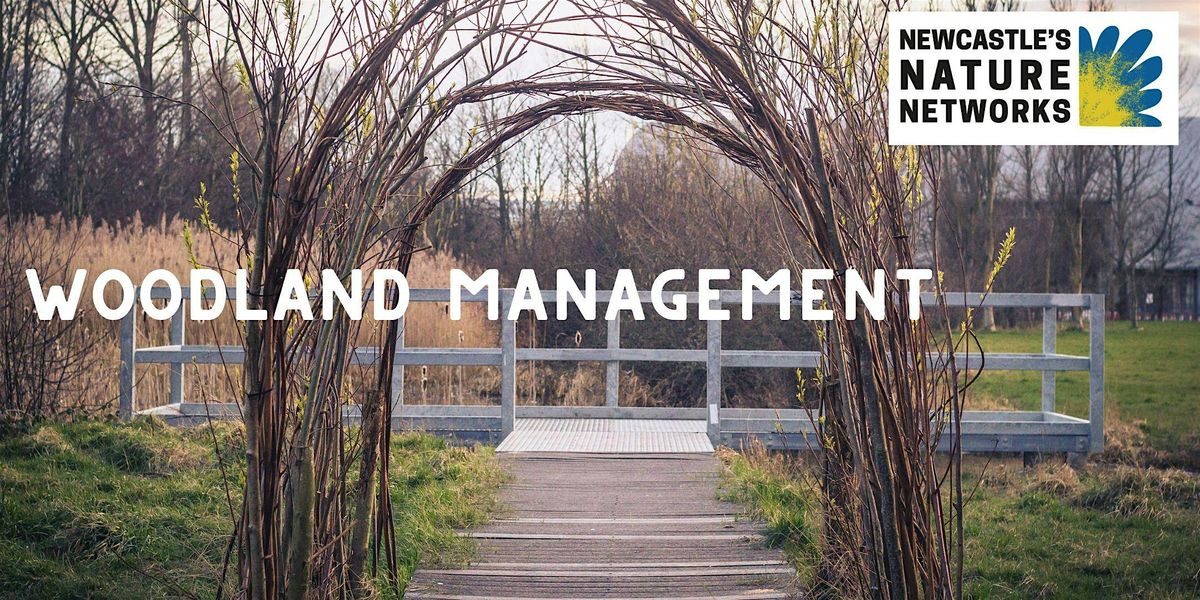 Woodland Management Volunteer Session