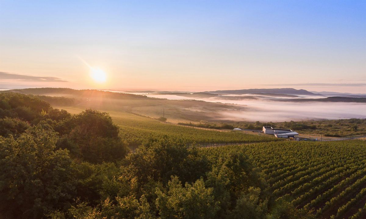 Wine tasting - Sparkling Transylvania and vulcanic Tokaj