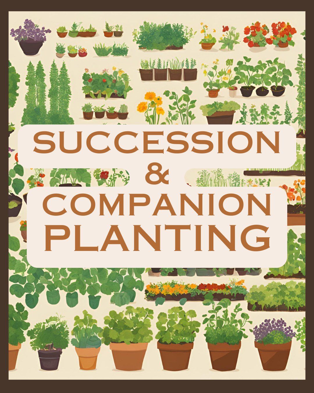 Succession & Companion Planting