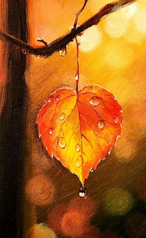 Seasons Change -- On Sale