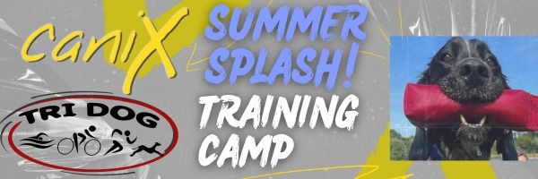 Summer SPLASH and Tri Dog Training Camp