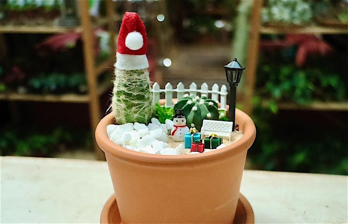 Holiday Cactus Garden Workshop