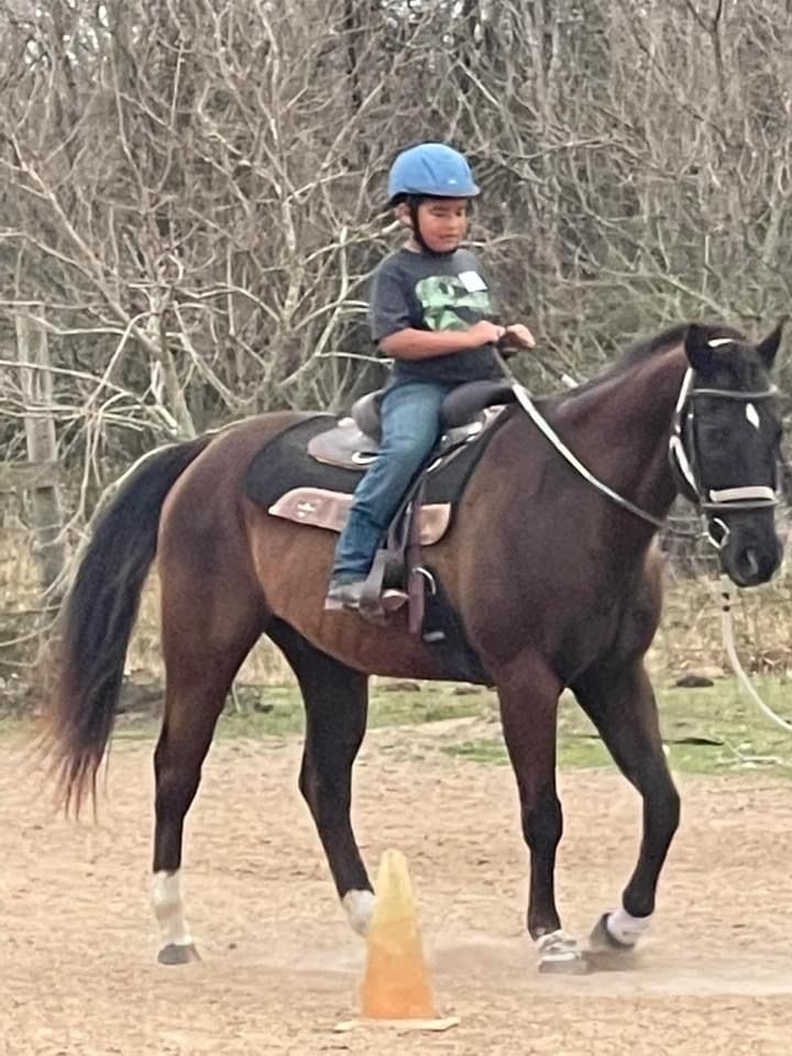 Memorial Horse Riding Camp, Paloma Trails, Katy, 30 May 2022