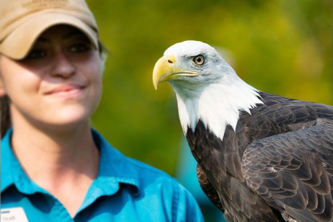 Humboldt in Harmony Speaker Series - Schlitz Audubon's Raptor Ambassador Program