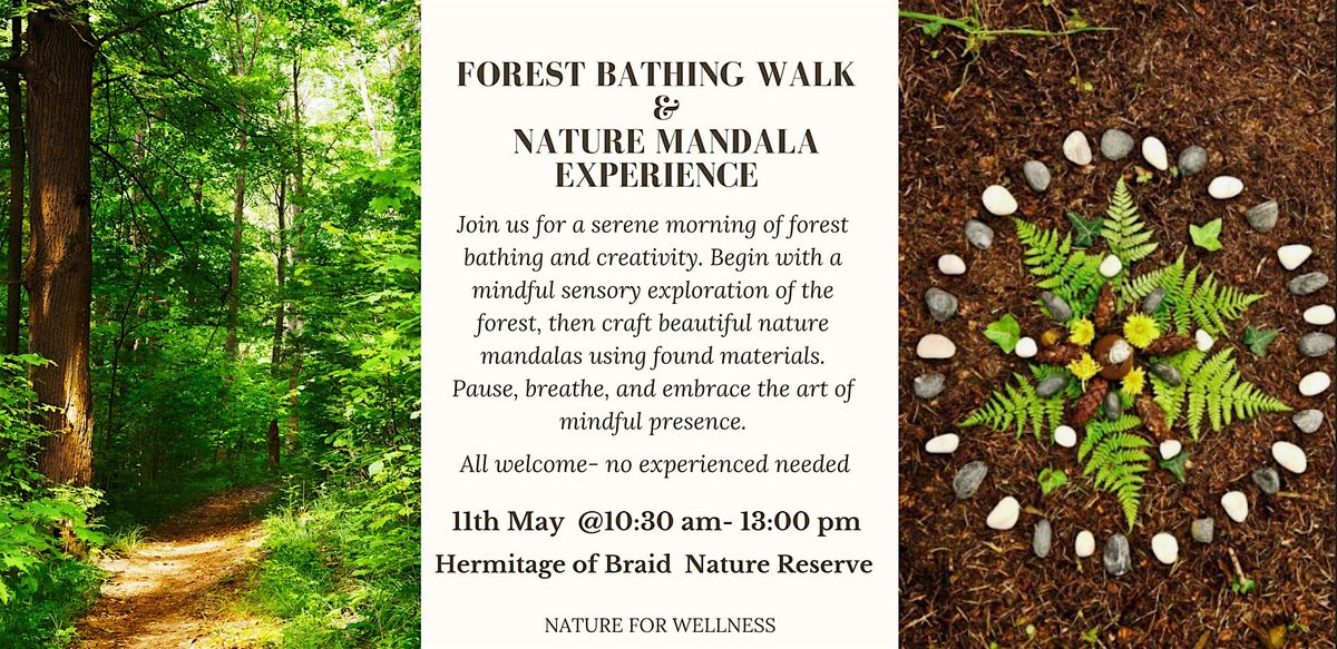 Forest Bathing Walk & Nature Mandala Experience