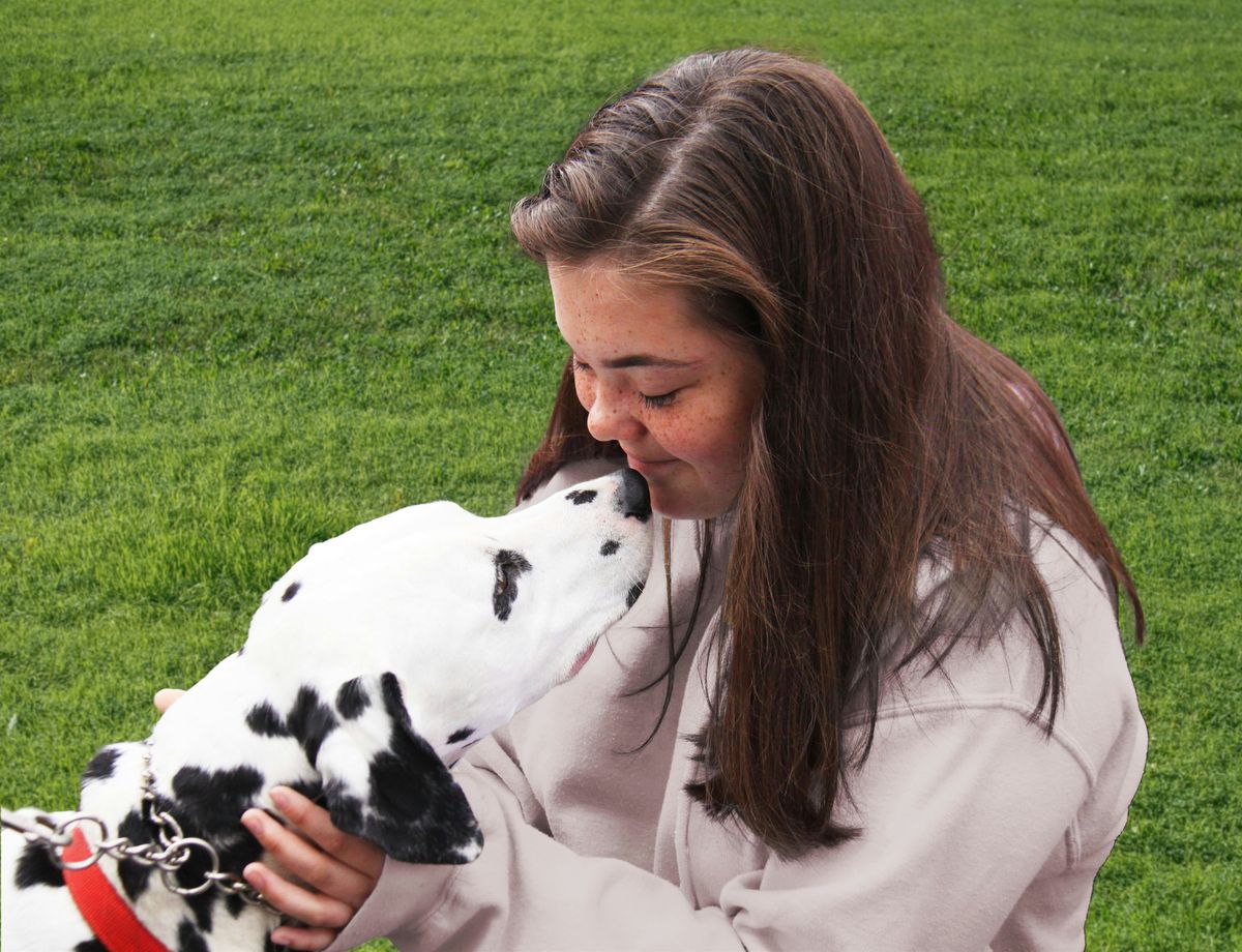Dalmatian Day