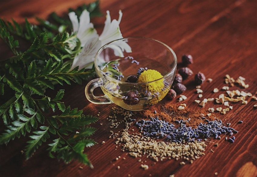 Craft UR Calm- Herbal Tea Workshop
