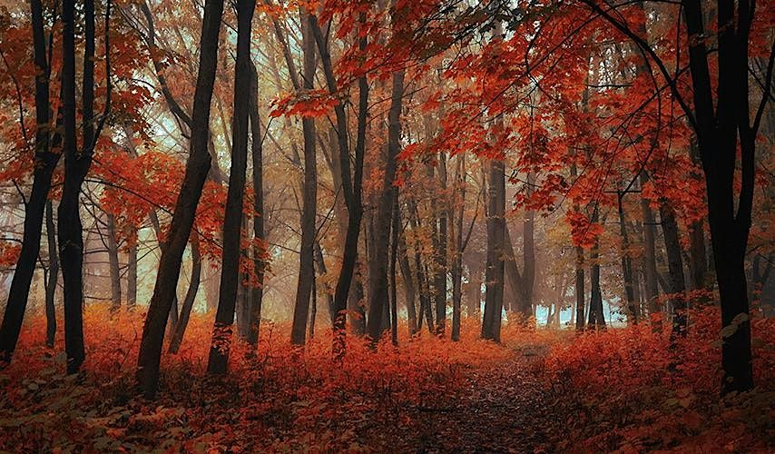 Death Cafe at La Pintoresca Branch Library