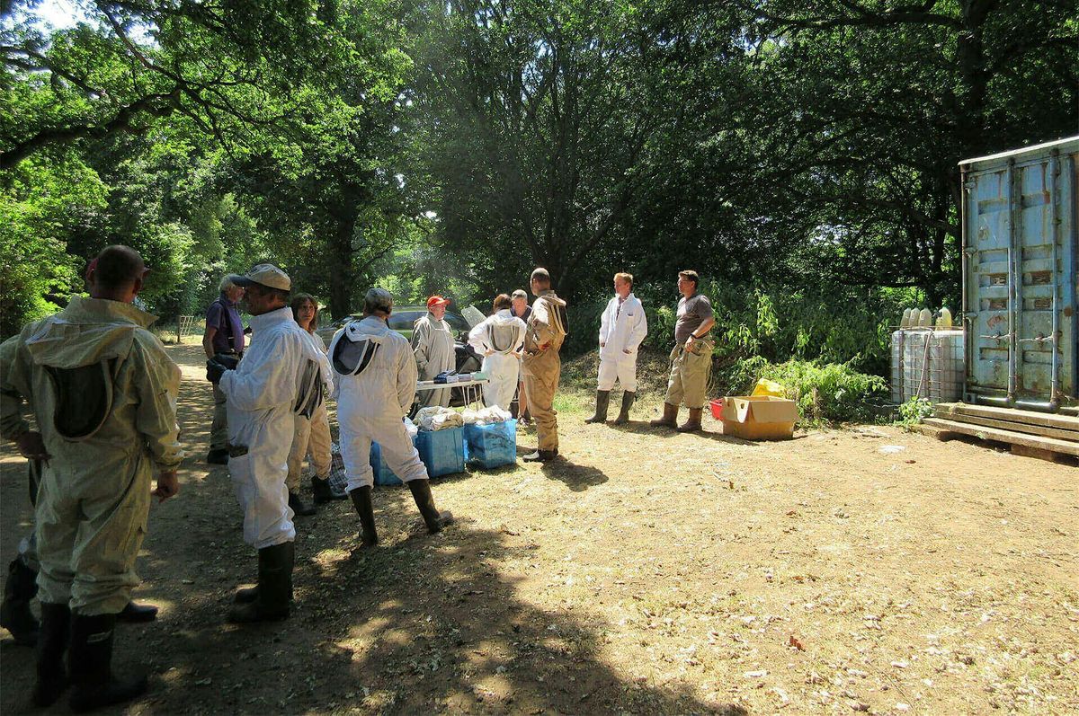 PDBKA Introduction to Beekeeping 2026