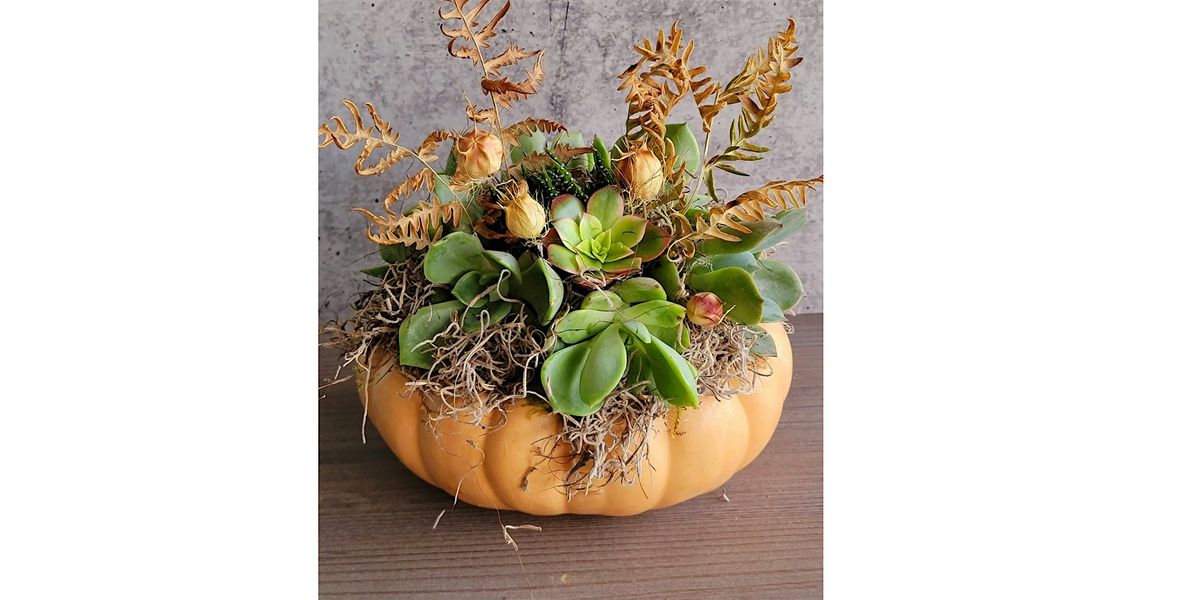 Suite Restaurant & Lounge, Bellevue - Succulent Pumpkin