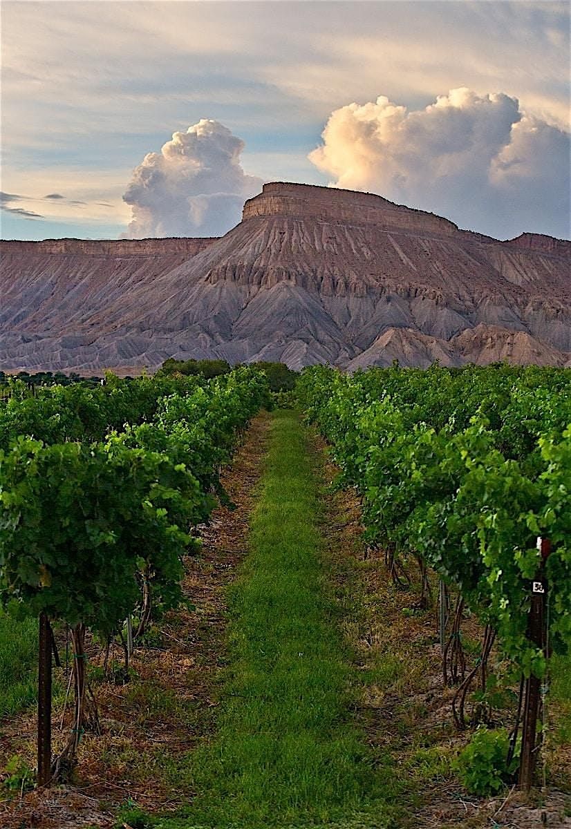IWIRC on the Vine in the Grand Valley Wine Region in Palisade, Colorado