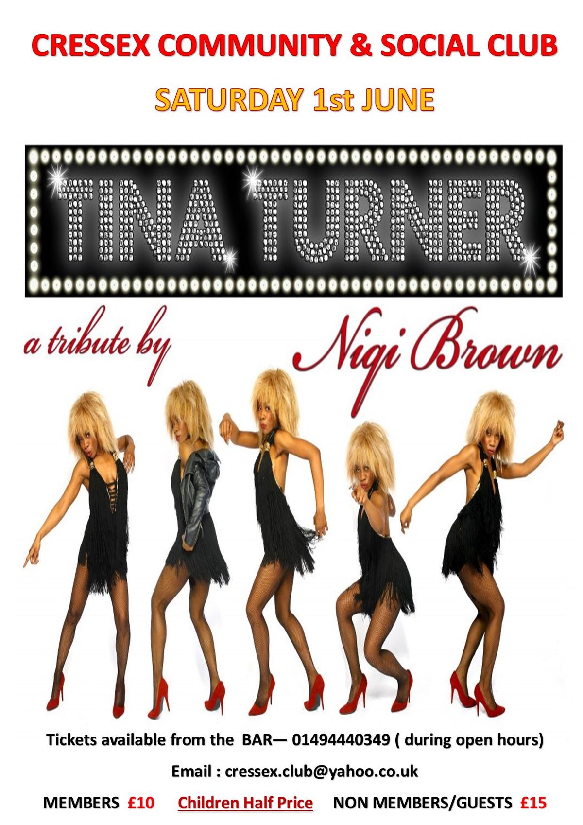 TINA TURNER Tribute ( Niqi Brown)