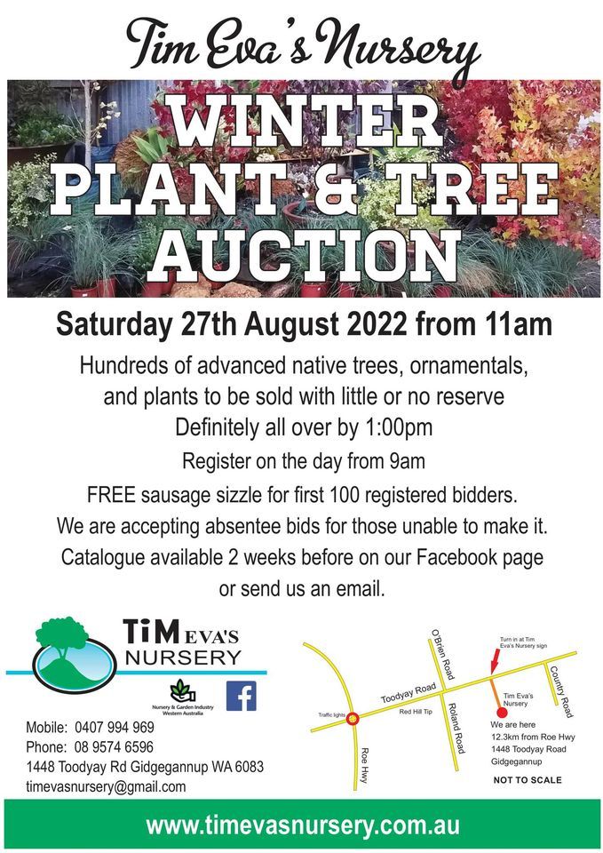 Tim Eva's Nursery Winter Tree Auction