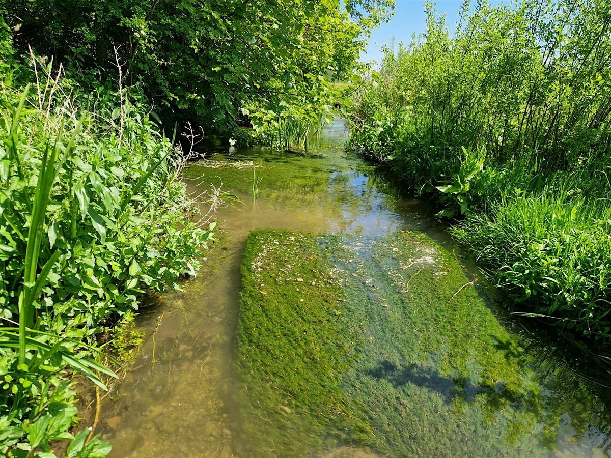 Lincolnshire's Chalk Streams talk with Will Bartle