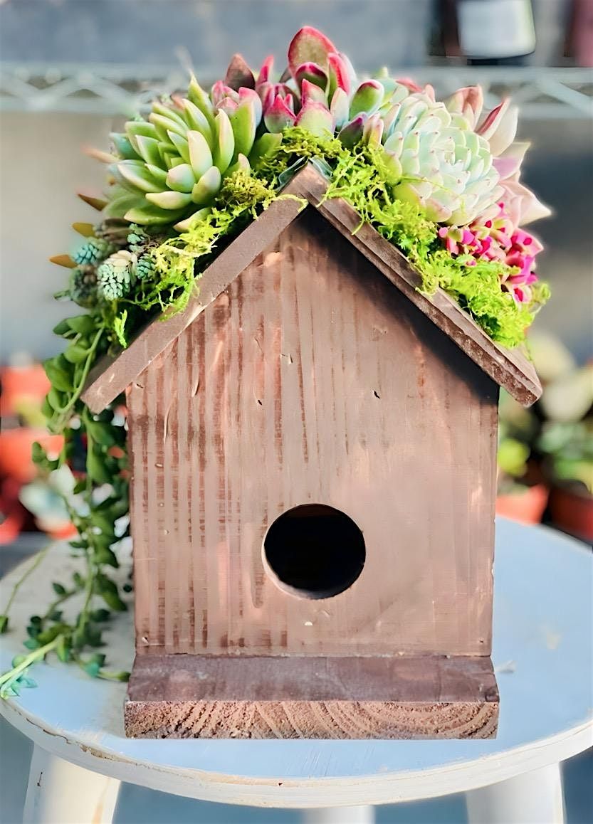 Succulent Birdhouse Arrangement Workshop