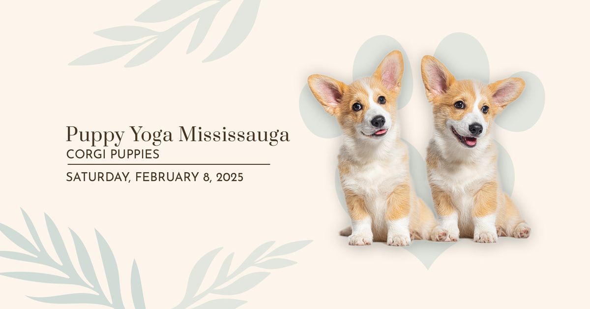 Puppy Yoga Mississauga - Corgi