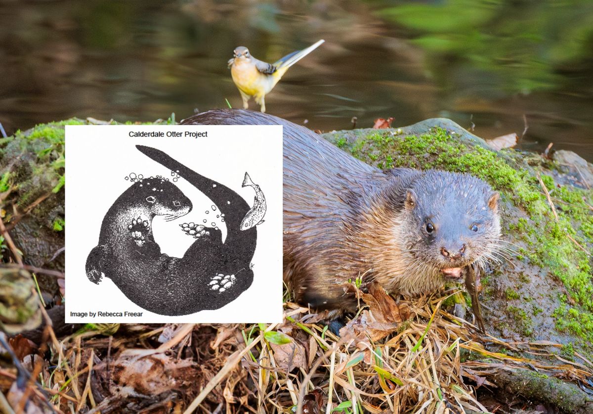 The Calderdale Otter Project: A Citizen Science Project Monitoring a Local Population