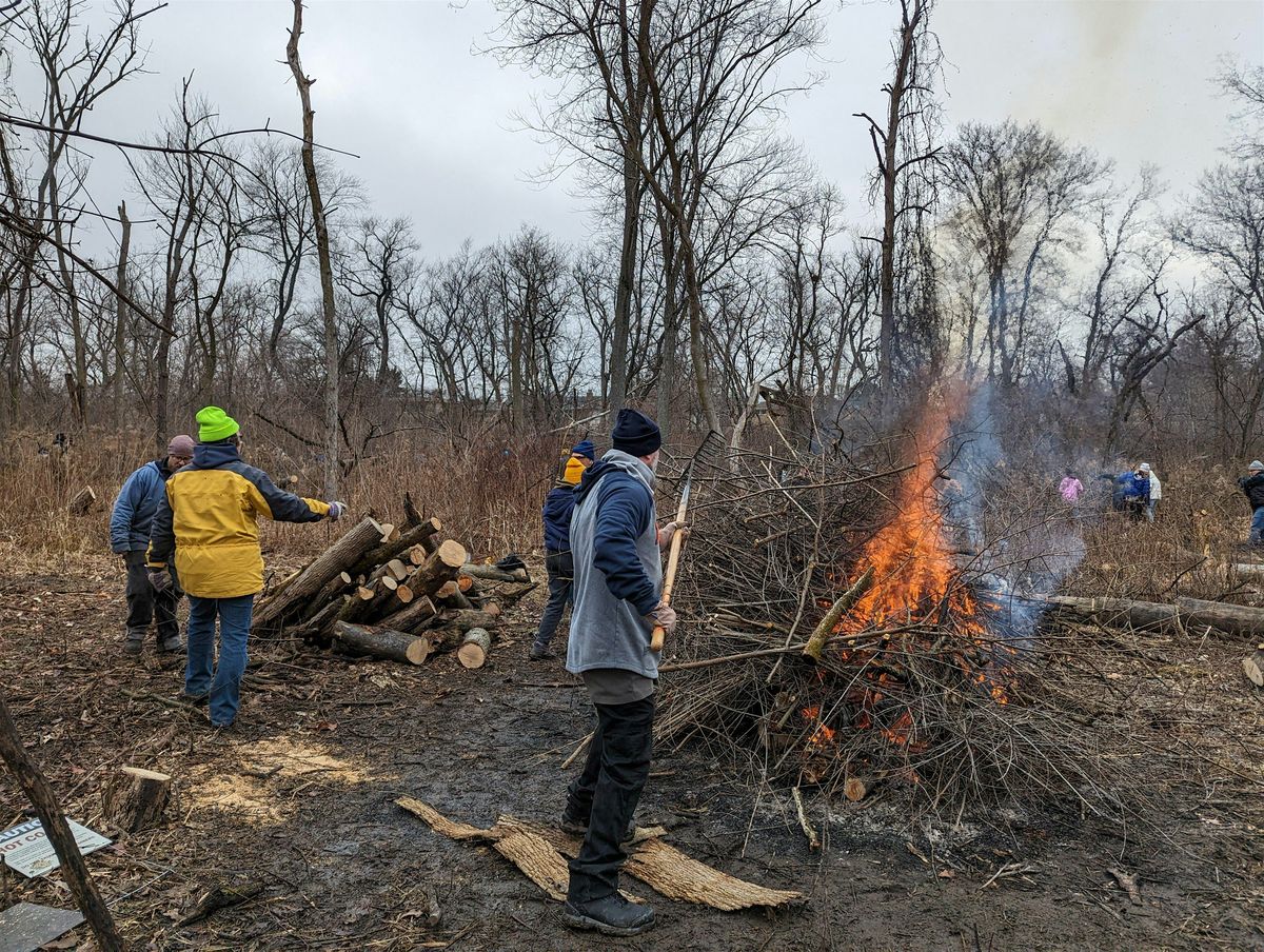 Where the Wild Things Grow - LaBagh Woods Workday