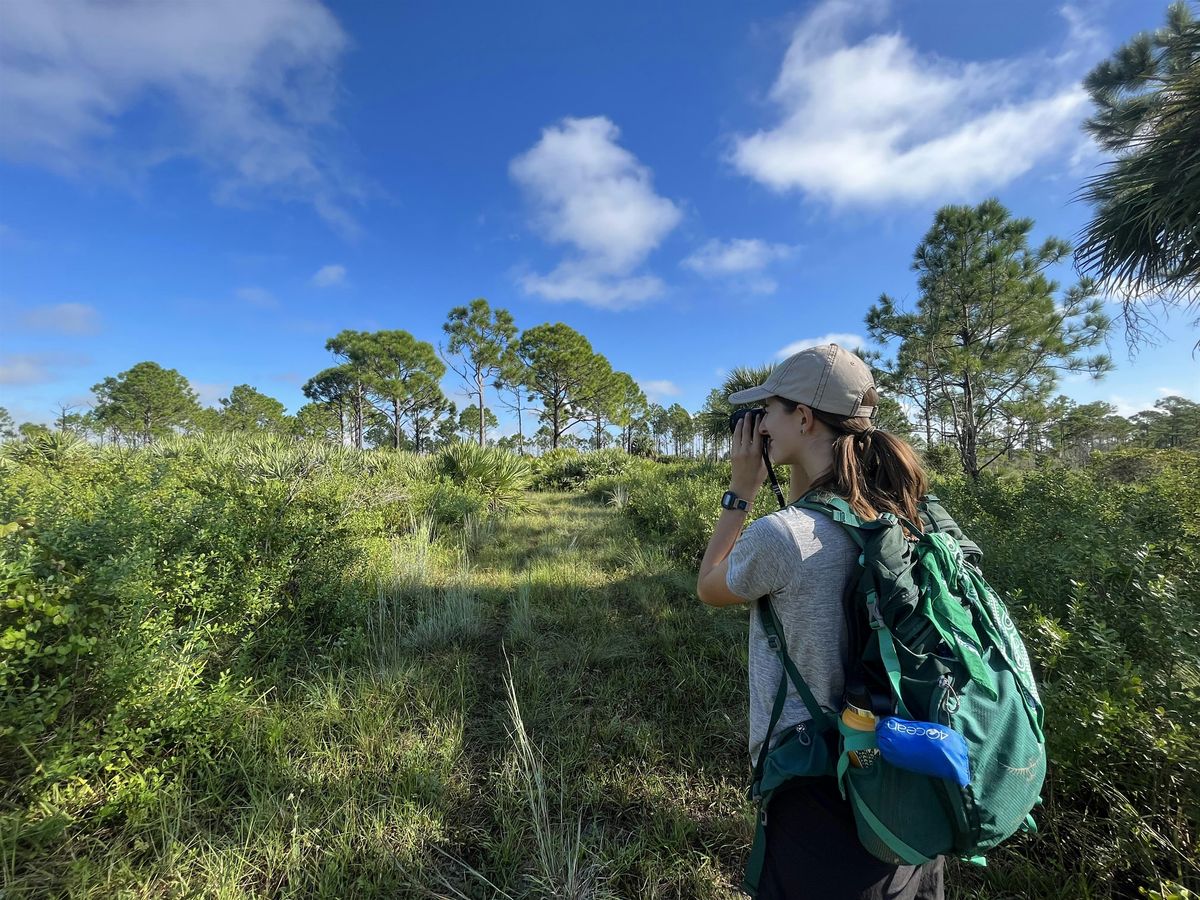 Birding Series: Marshes and Flatwoods