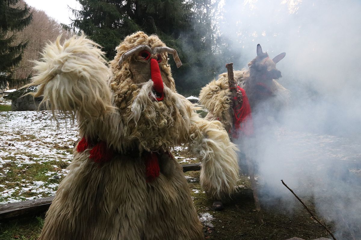 CARNAVAL SAUVAGE - CIE LES OISEAUX PASSAGE