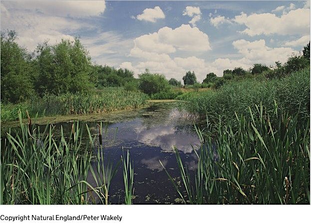 The `Environment Agency's Landscape Recovery Program