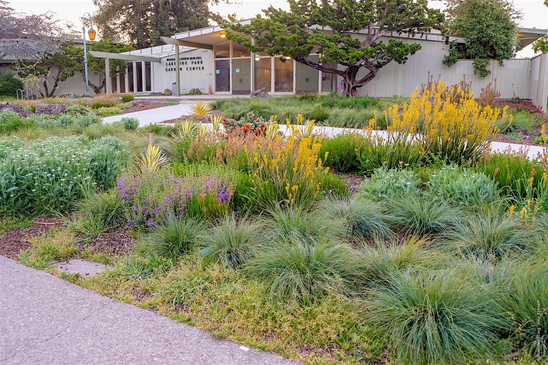 The 2025 Bay Area Designer Plant Fair