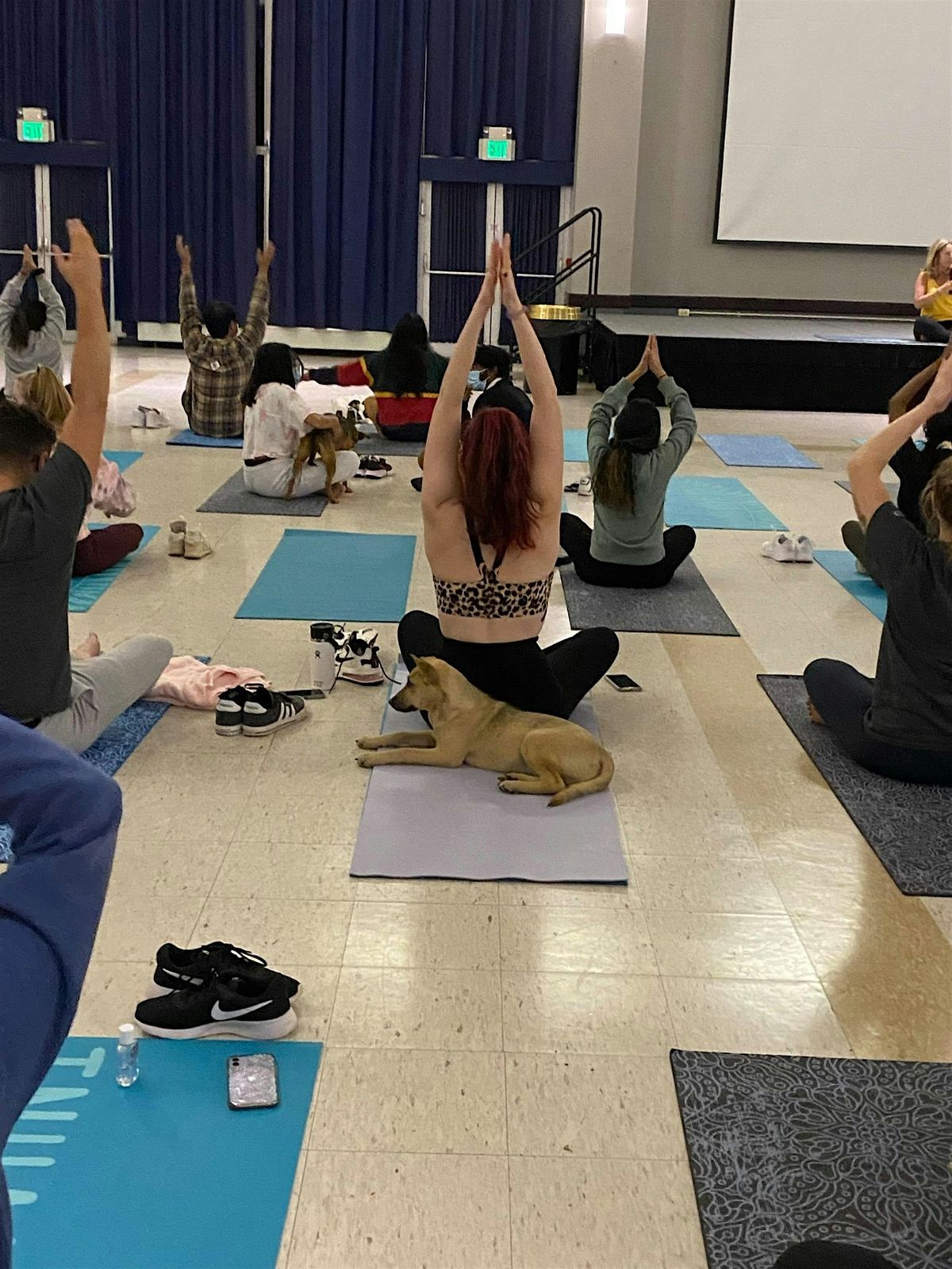 DNYP U - Downward Dogs at UMD!