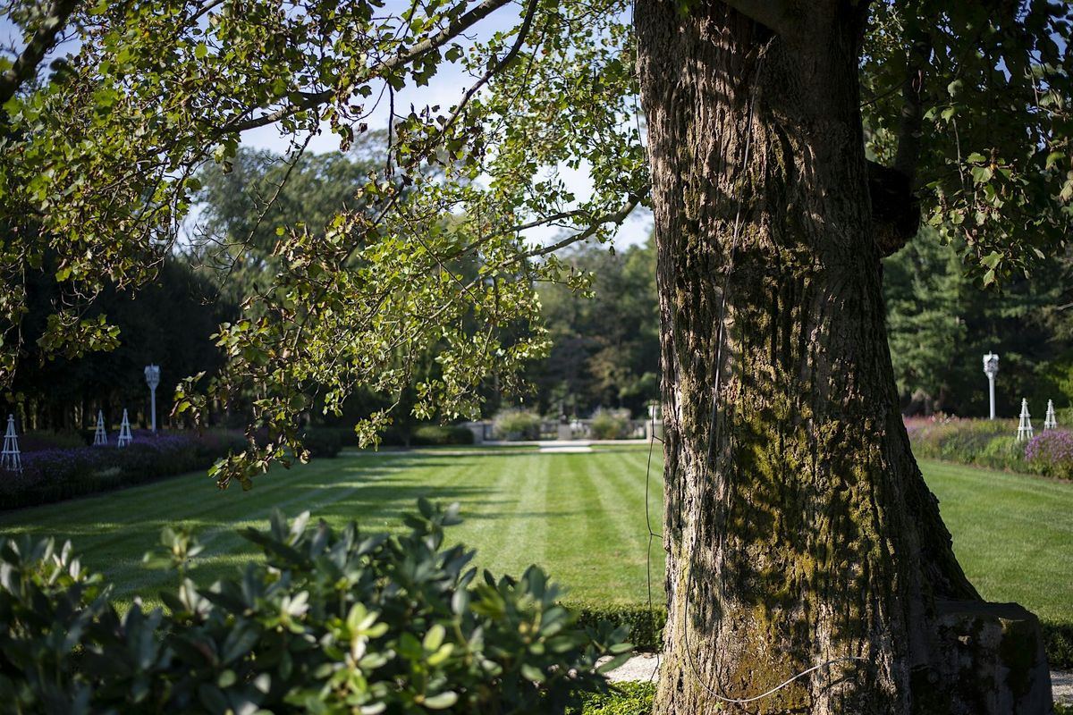 Walk & Sketch: Exploring the Shapes & History of Trees at Nemours Estate