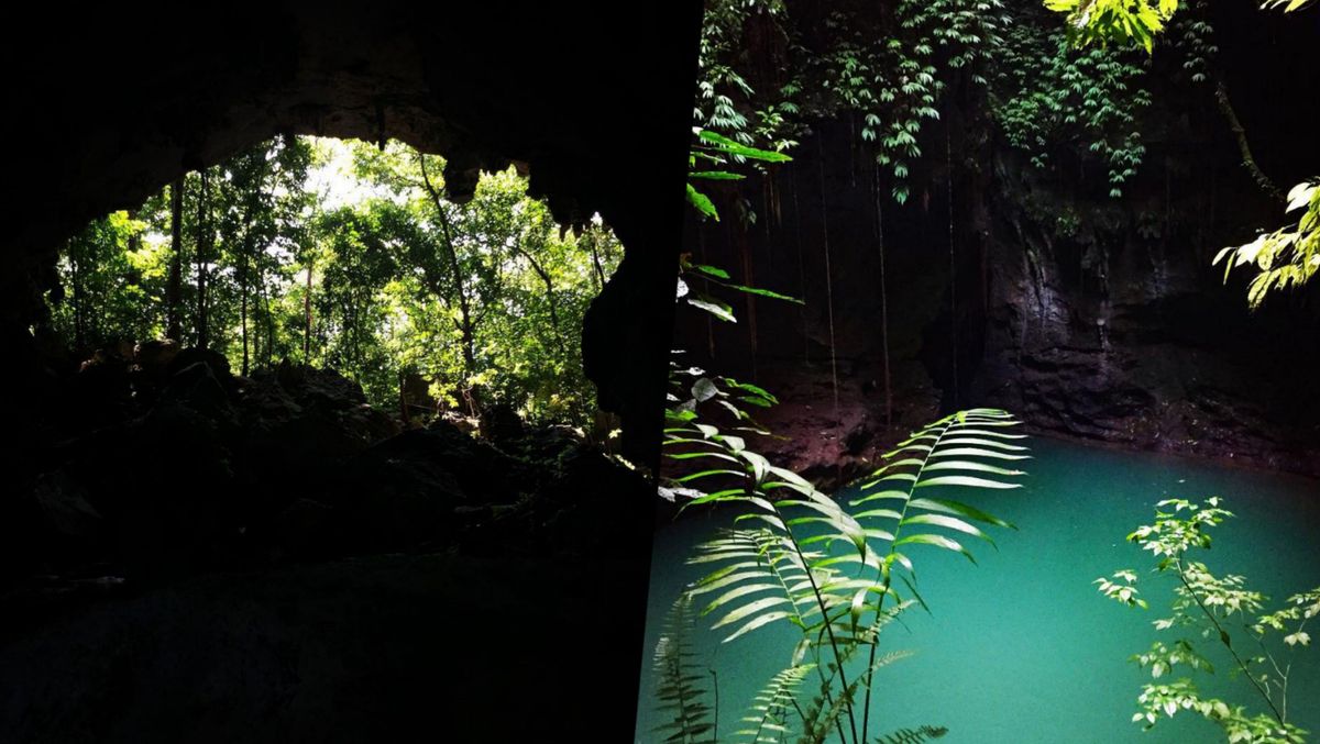 Caminata y campamento en la selva de los Chimalapas