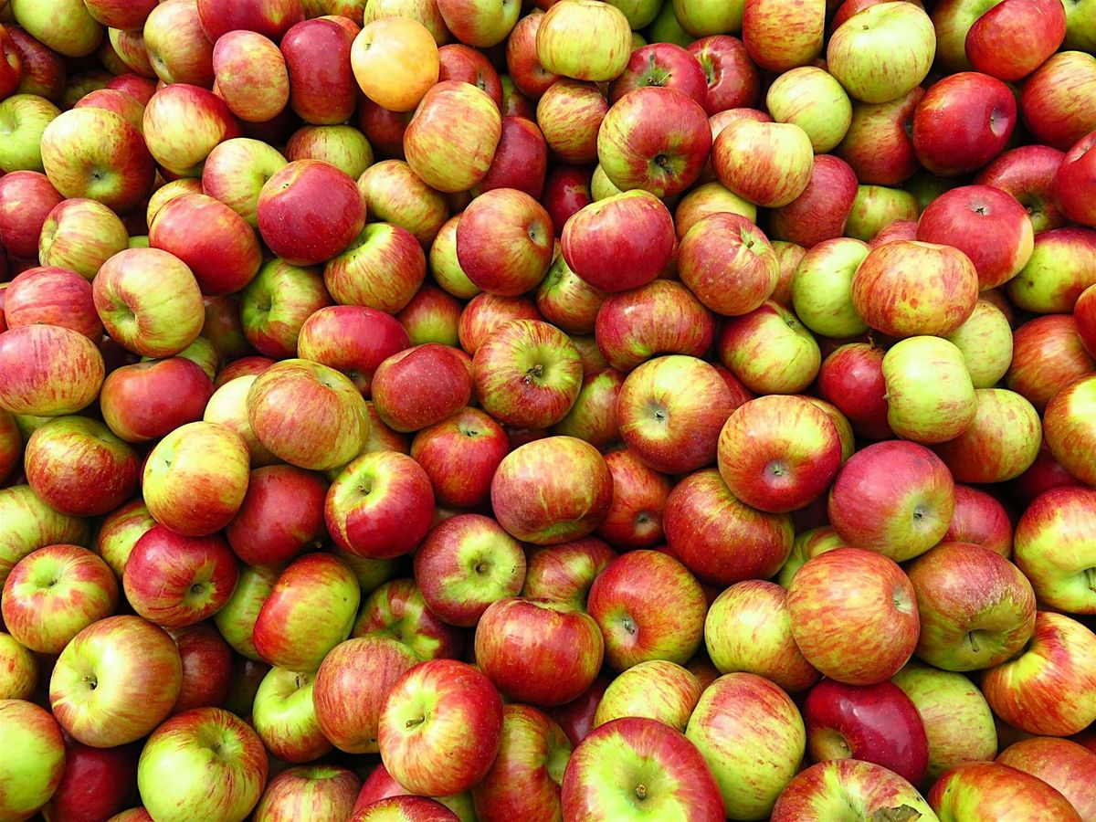 Apple Week Celebration