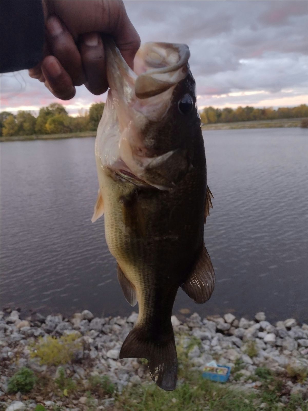 First Day Out Fishing Coalition Tournament