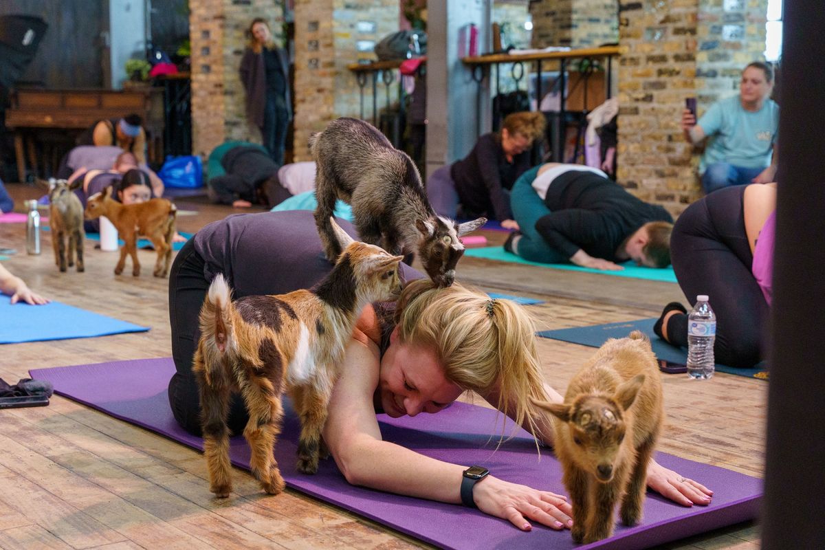 ON SALE 3\/1: Mother's Day WKND Baby Goat Yoga @ Freight 38!