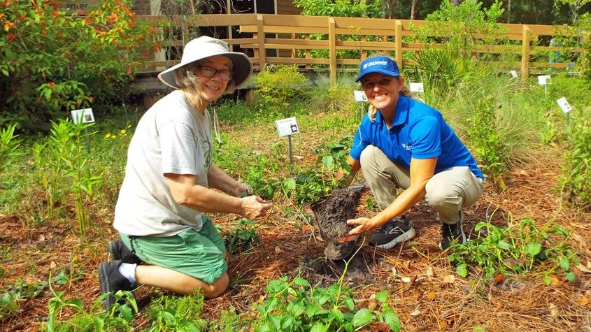 Lettuce Lake Park Garden Workday