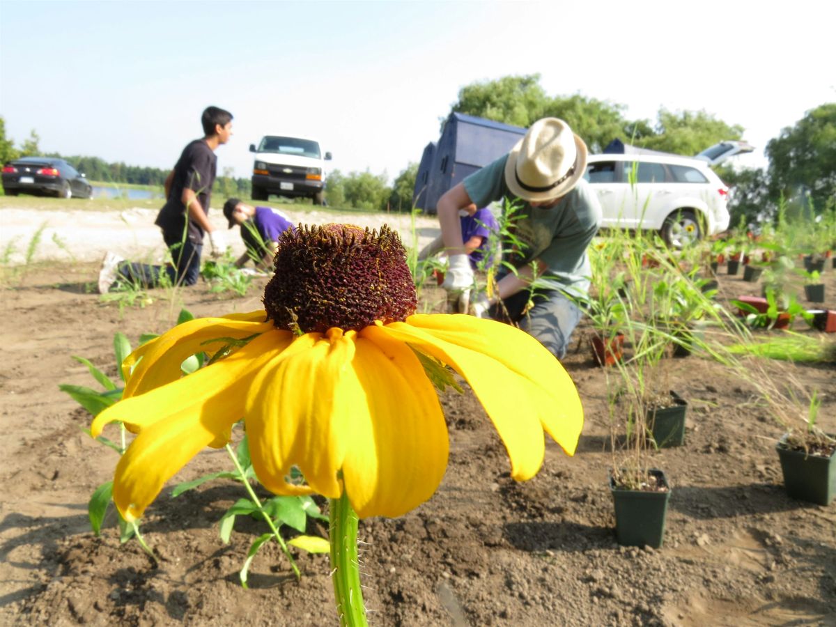 Rain Garden Maintenance