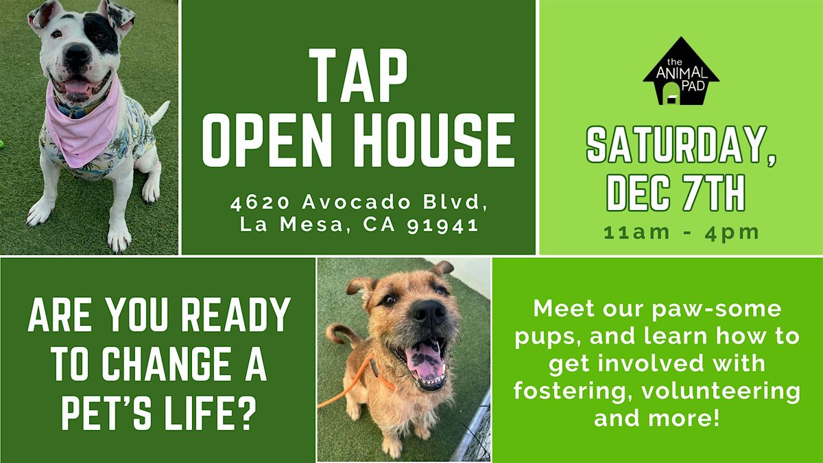 TAP HQ Open House