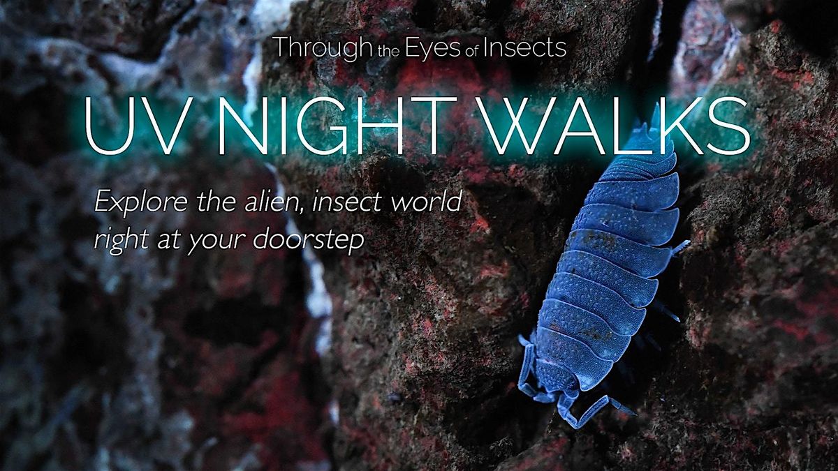 UV Night Walk