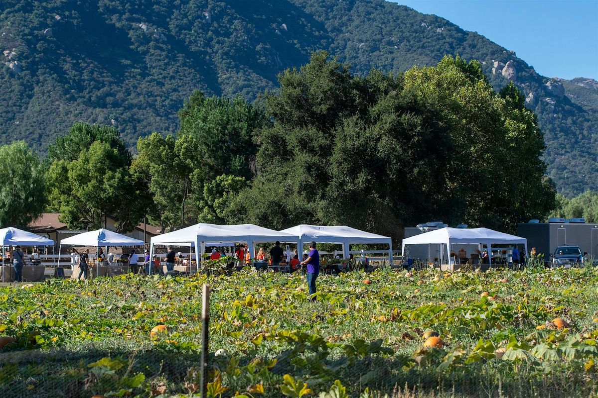 Mizel Family Foundation Harvest Festival